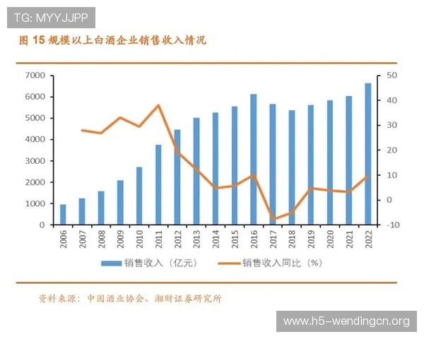 问鼎旗舰网站：如何通过内容优化和技术升级巩固行业第一地位