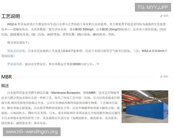 问鼎网页版官方入口：最新登录指南与安全保障措施详解